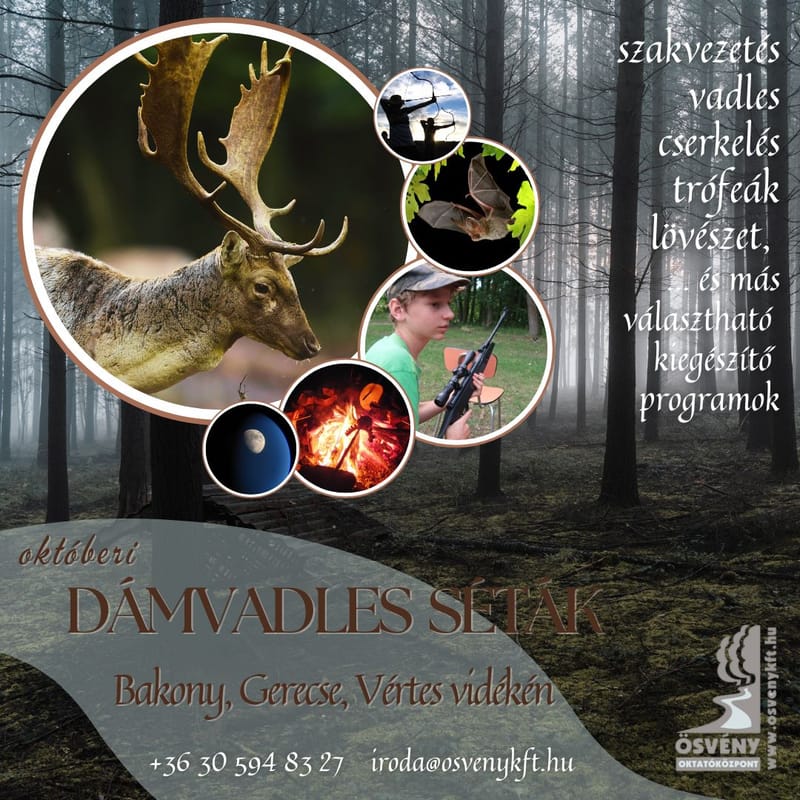 DÁMVADLES SÉTÁK és ŐSZI KALANDOK a Bakonyban, Gerecsében, Vértesben - egyedi időpont egyeztetéssel csoportok számára