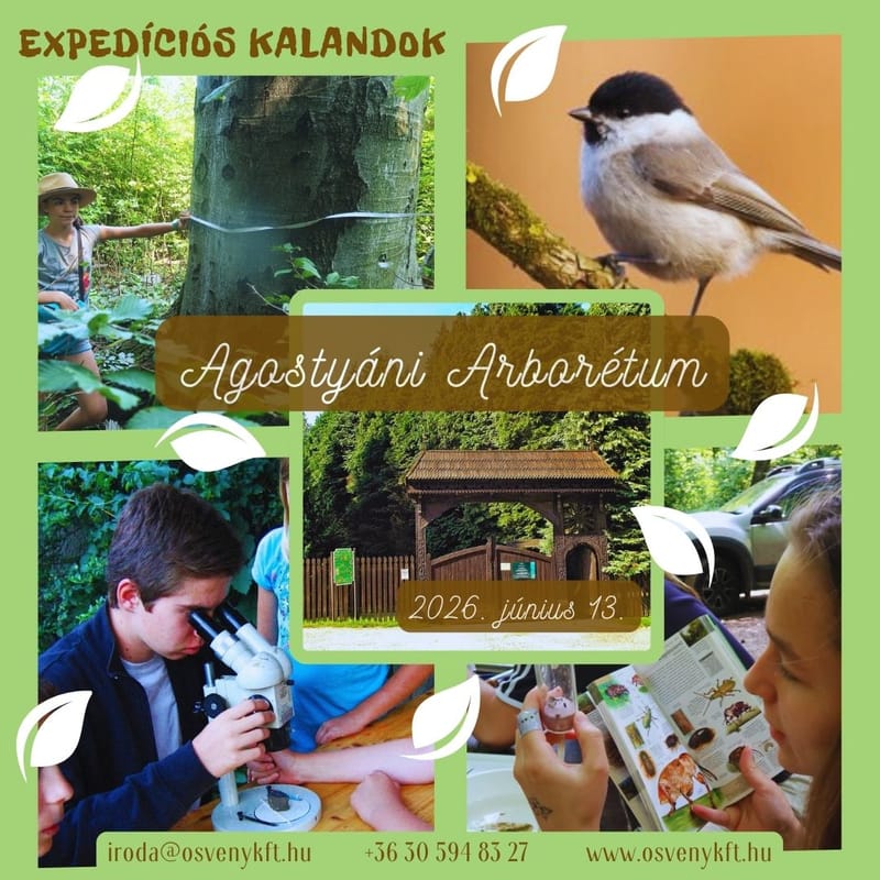 EXPEDÍCIÓS FELFEDEZŐNAP - a hazai vadon megismerése, Agostyáni Arborétum - ÖSVÉNY Családi Programok