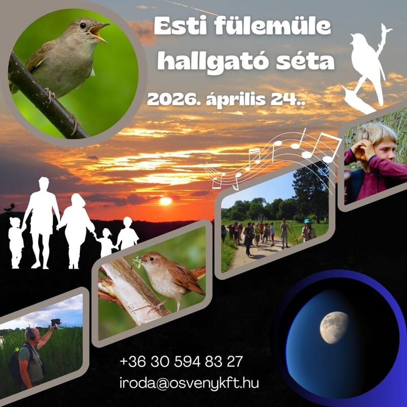 Esti fülemüle hallgató séta - ÖSVÉNY Családi Programok