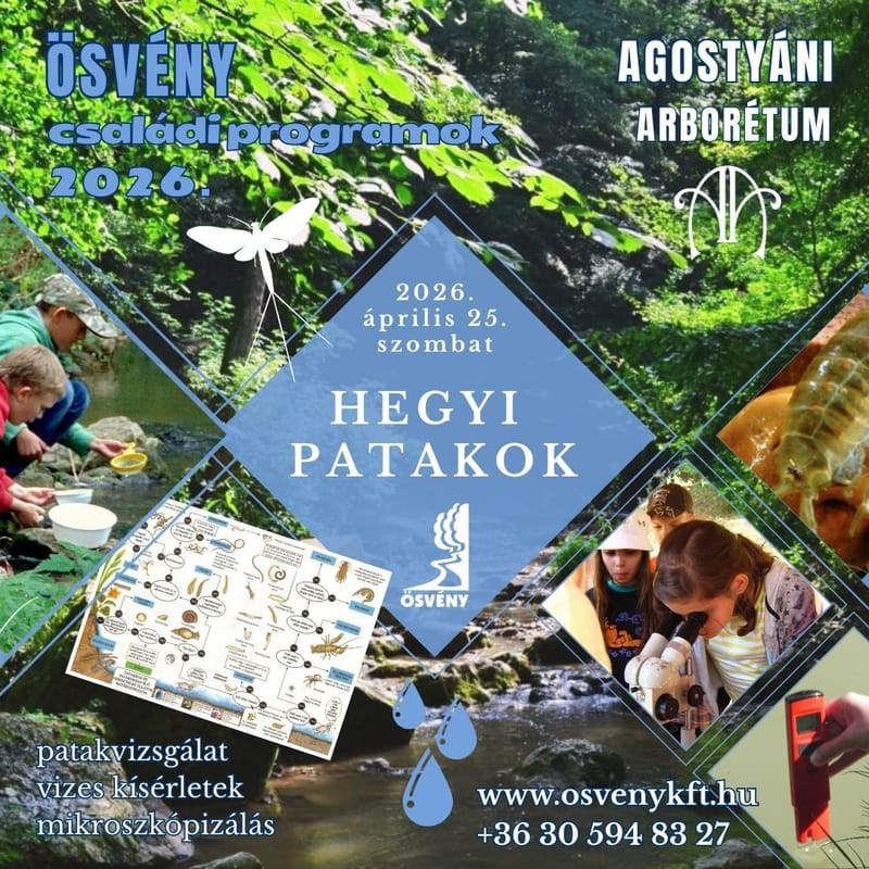 Hegyi patokok napja, Agostyáni Arborétum - ÖSVÉNY Családi Programok