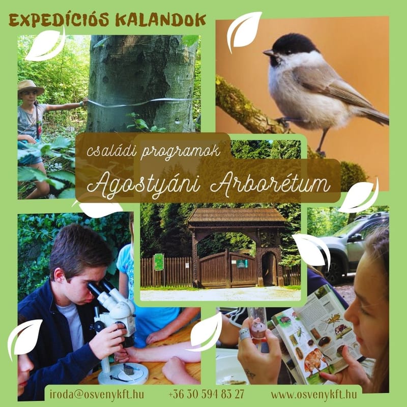 EXPEDÍCIÓS FELFEDEZŐNAP - a hazai vadon megismerése, Agostyáni Arborétum - ÖSVÉNY Családi Programok