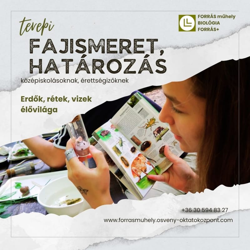Fajismeret, határozás - a FORRÁS+ biológia terepgyakorlatai középiskolásoknak, érettségizőknek