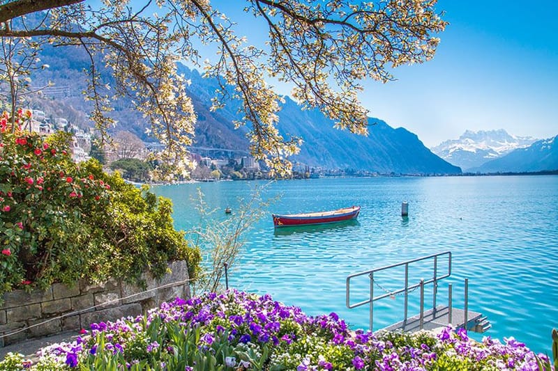 MONTREUX OUTCALL