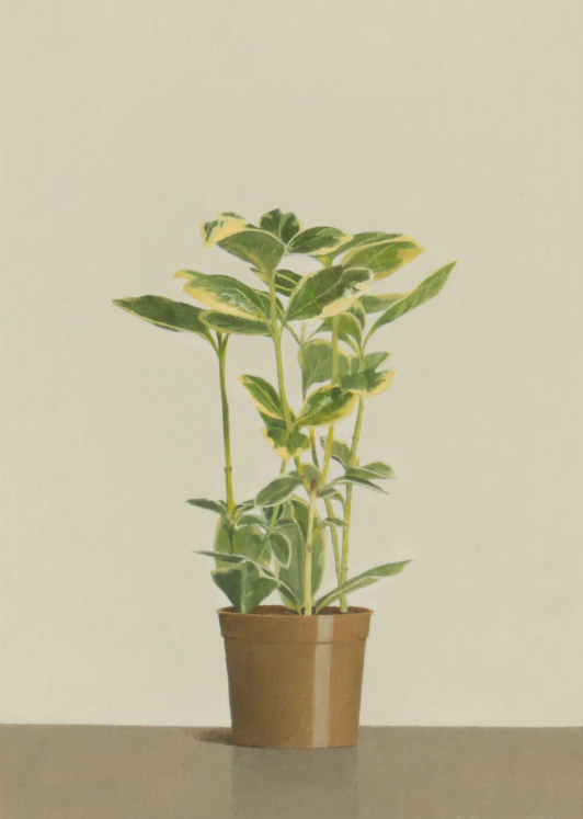 "Euonymus II"