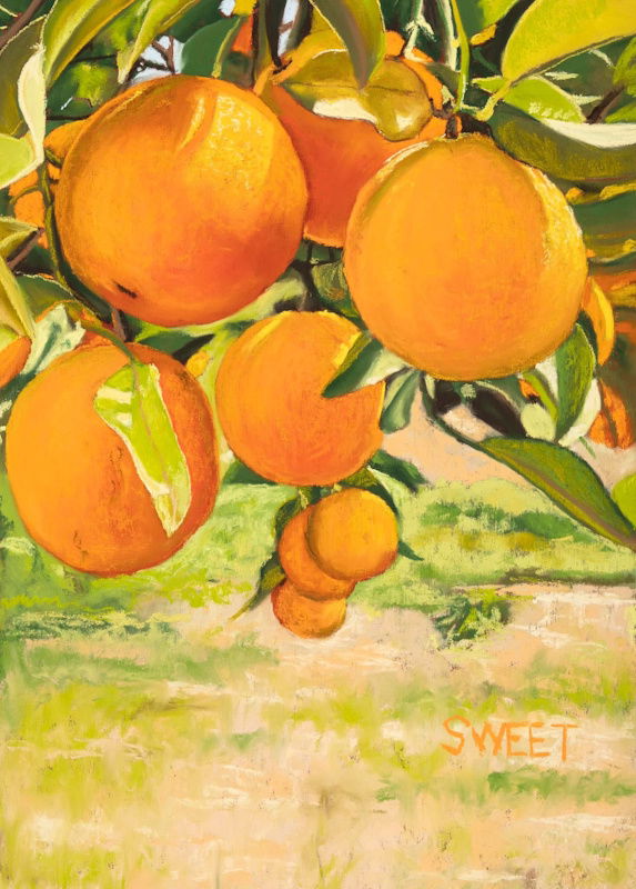 "Orangerie"