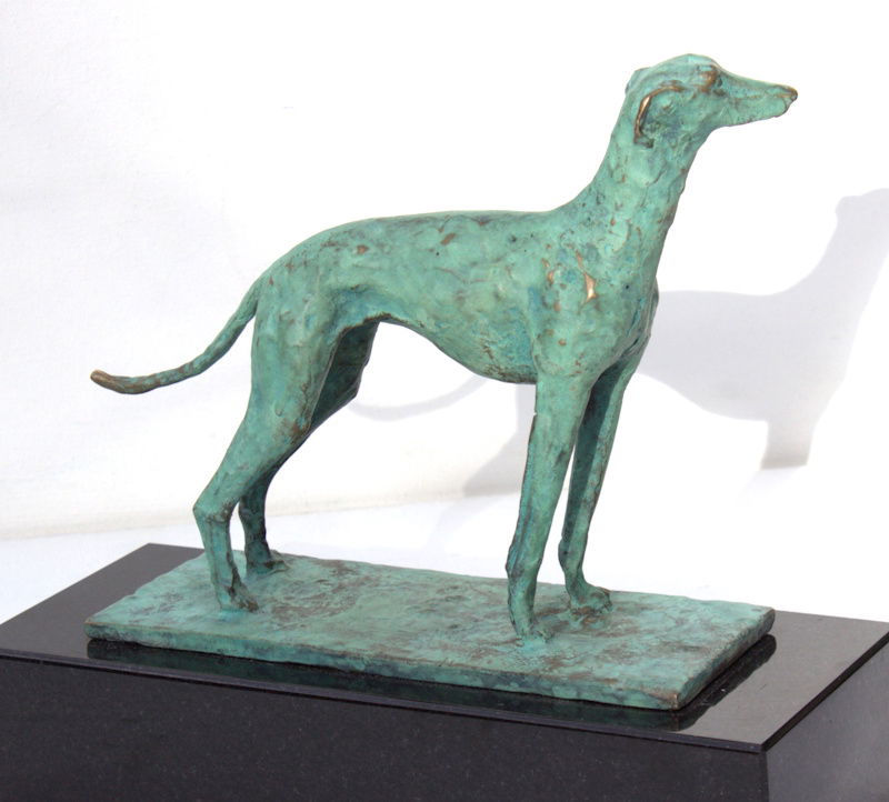 "Greyhound looking to the left"