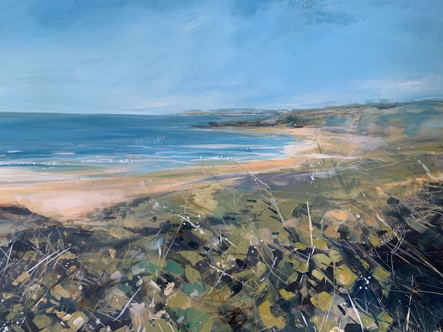 "Wild Flowers, White Park Bay"