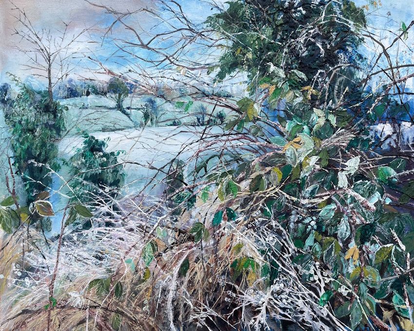 "Winter's Quiet Gaze"