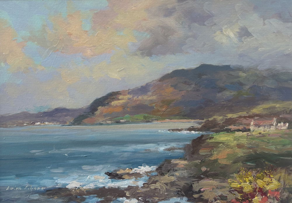 "The Coastline, Donegal"