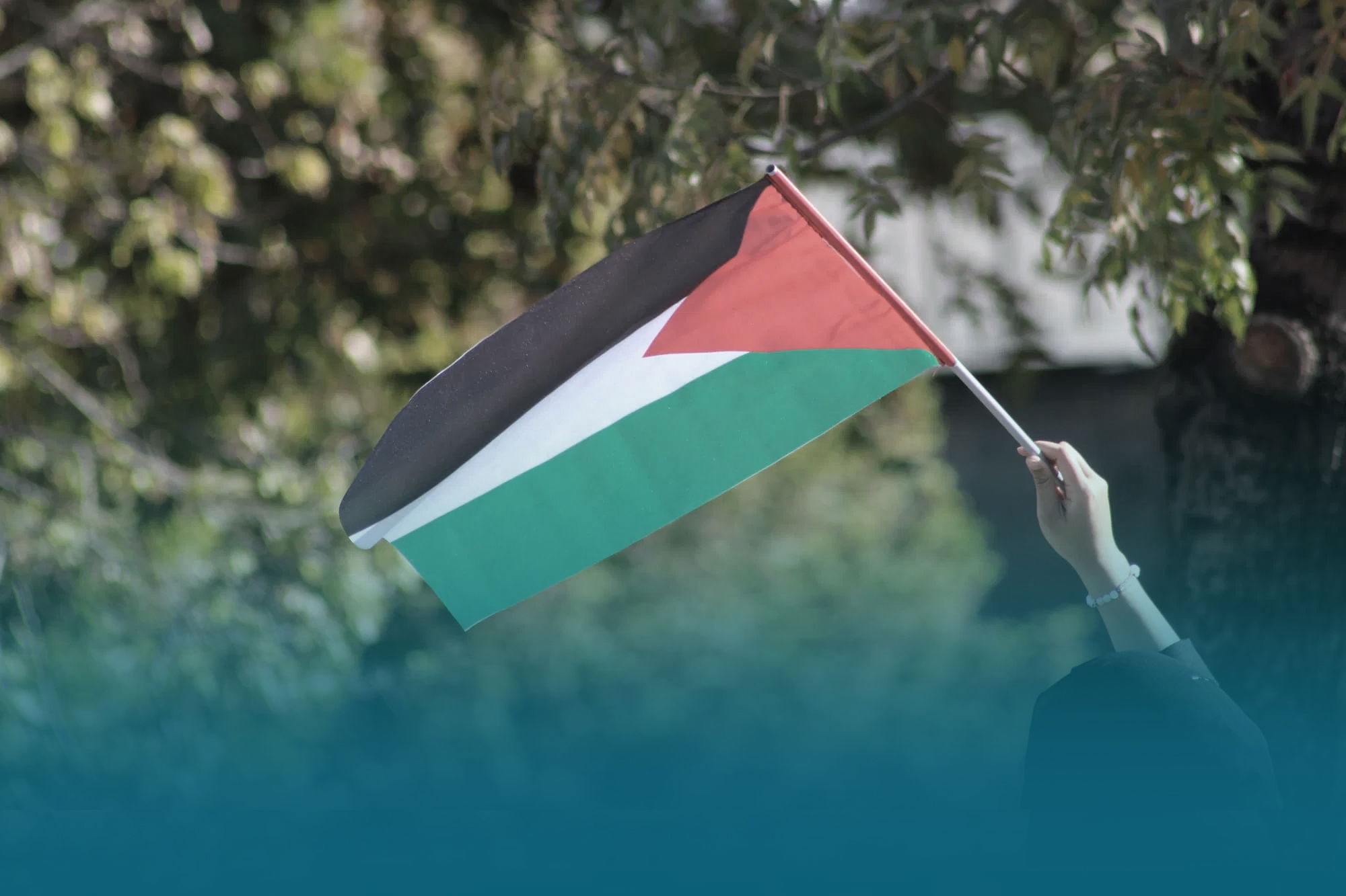 دولة فلسطين