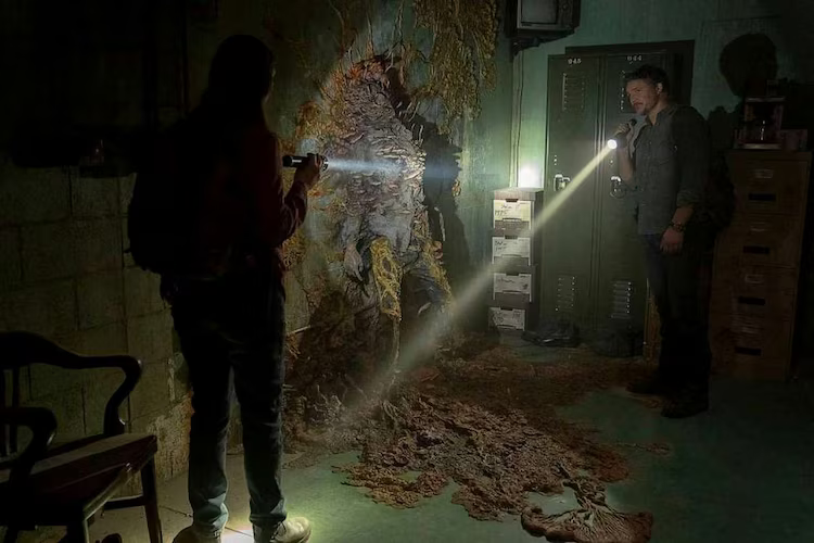 CONTAMINATION LABORATORY
