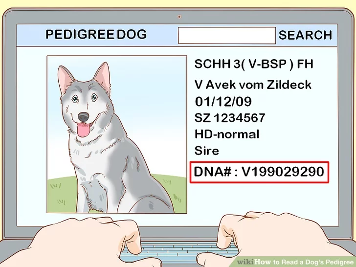 Image titled Read a Dog's Pedigree Step 4