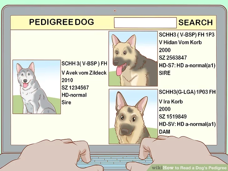 Image titled Read a Dog's Pedigree Step 2