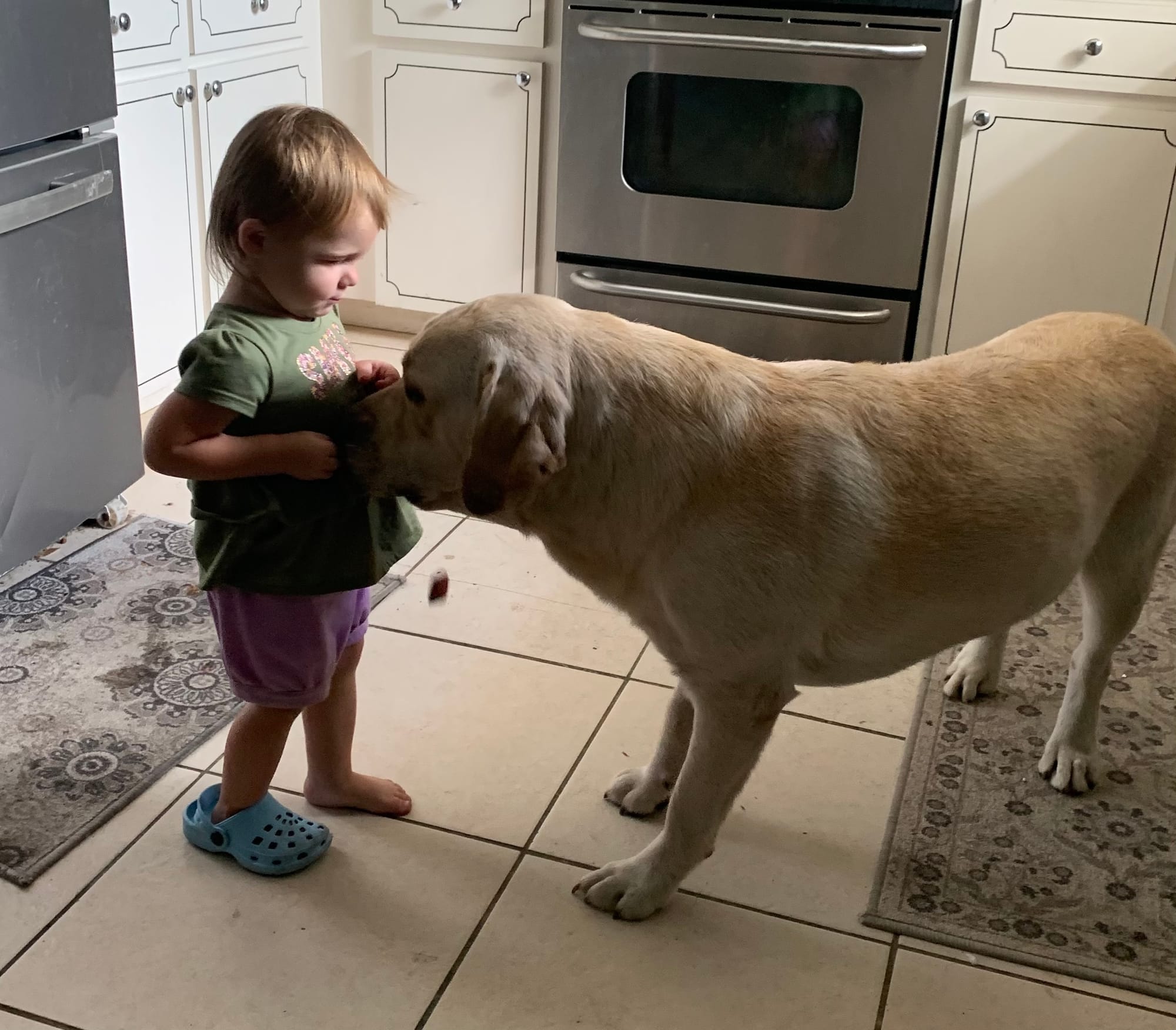 Penny Lane’s Frederick The Peaceful Ruler