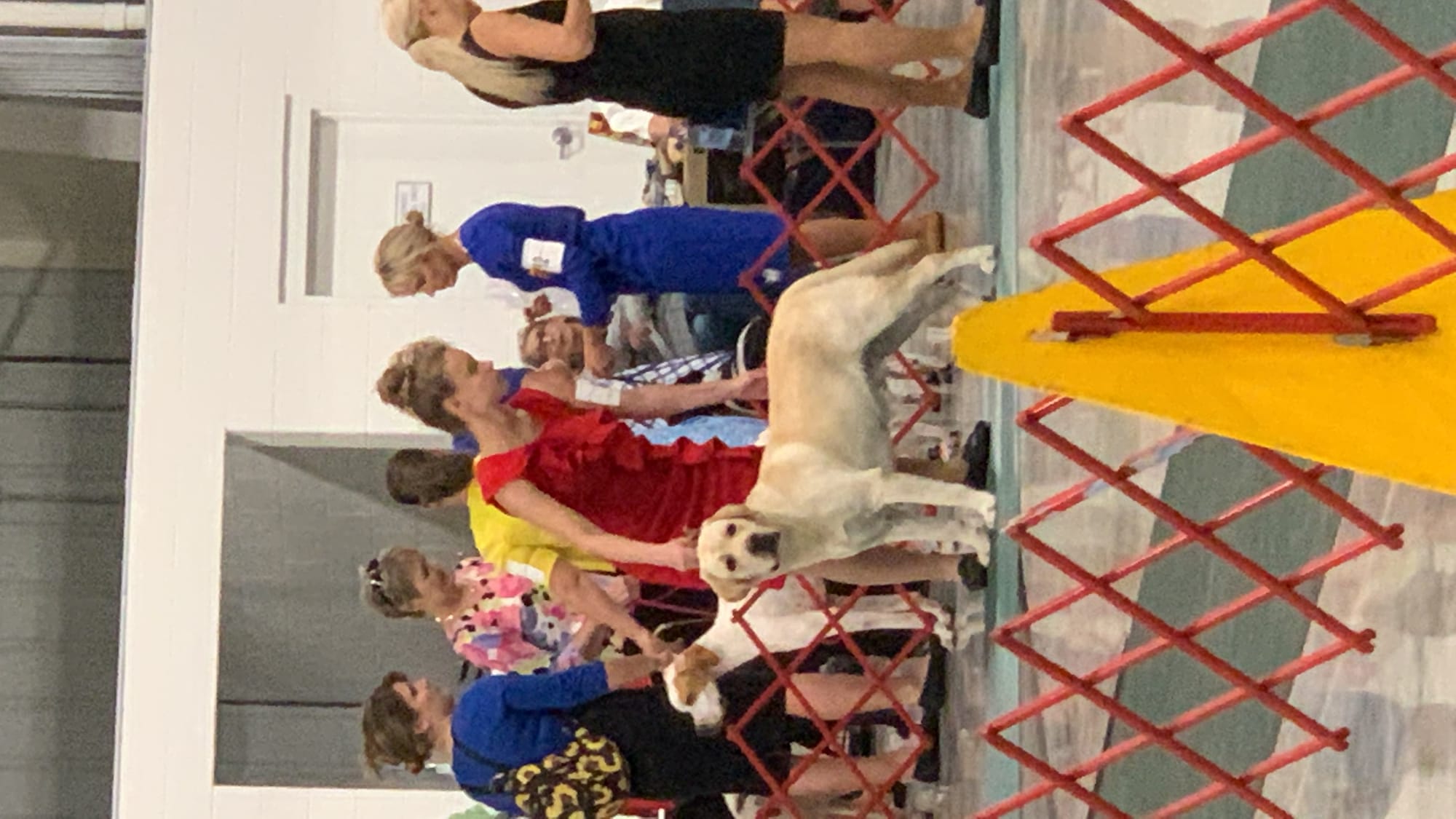 Penny Lane’s Frederick The Peaceful Ruler