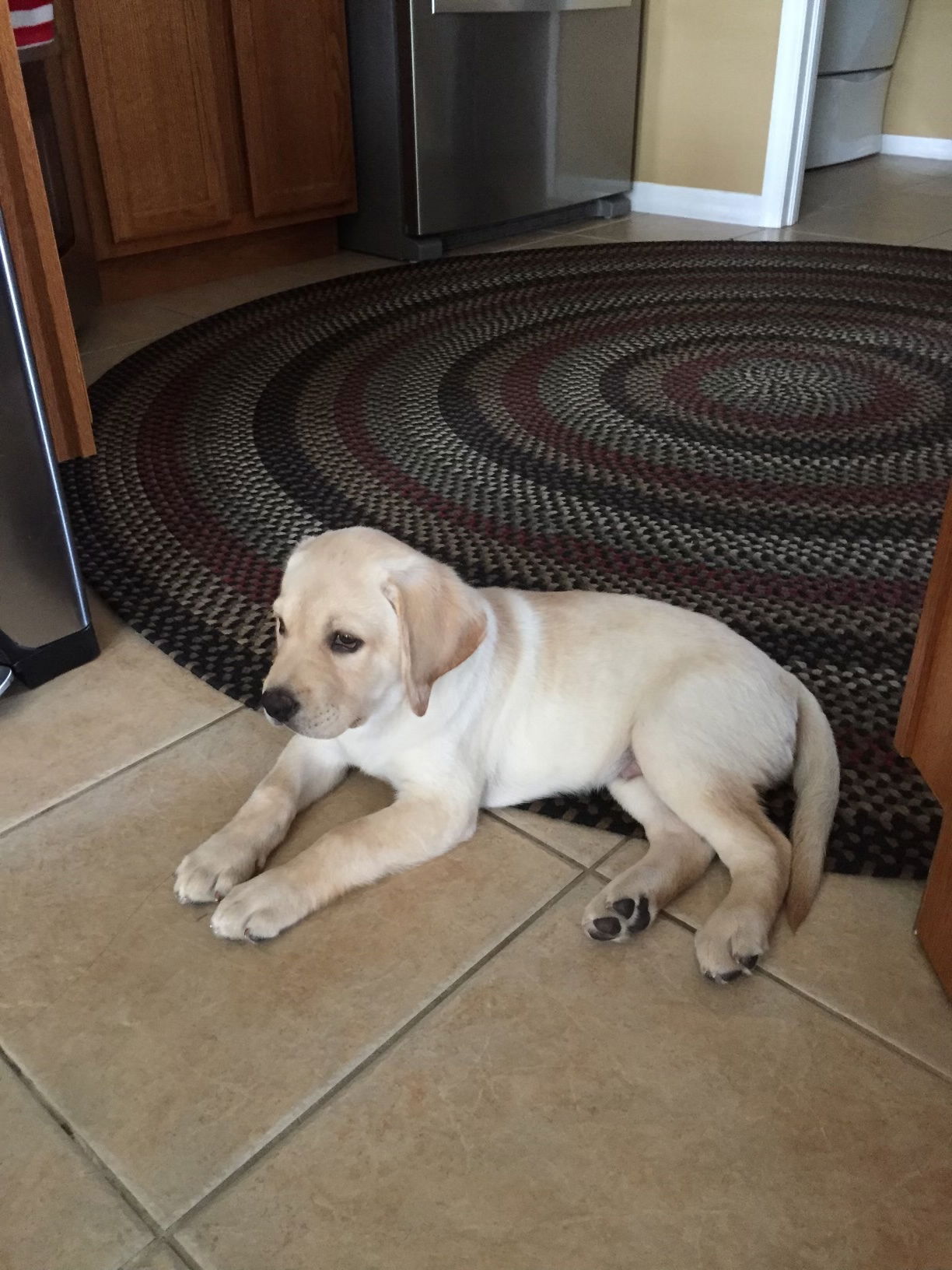 Penny Lane’s Frederick The Peaceful Ruler