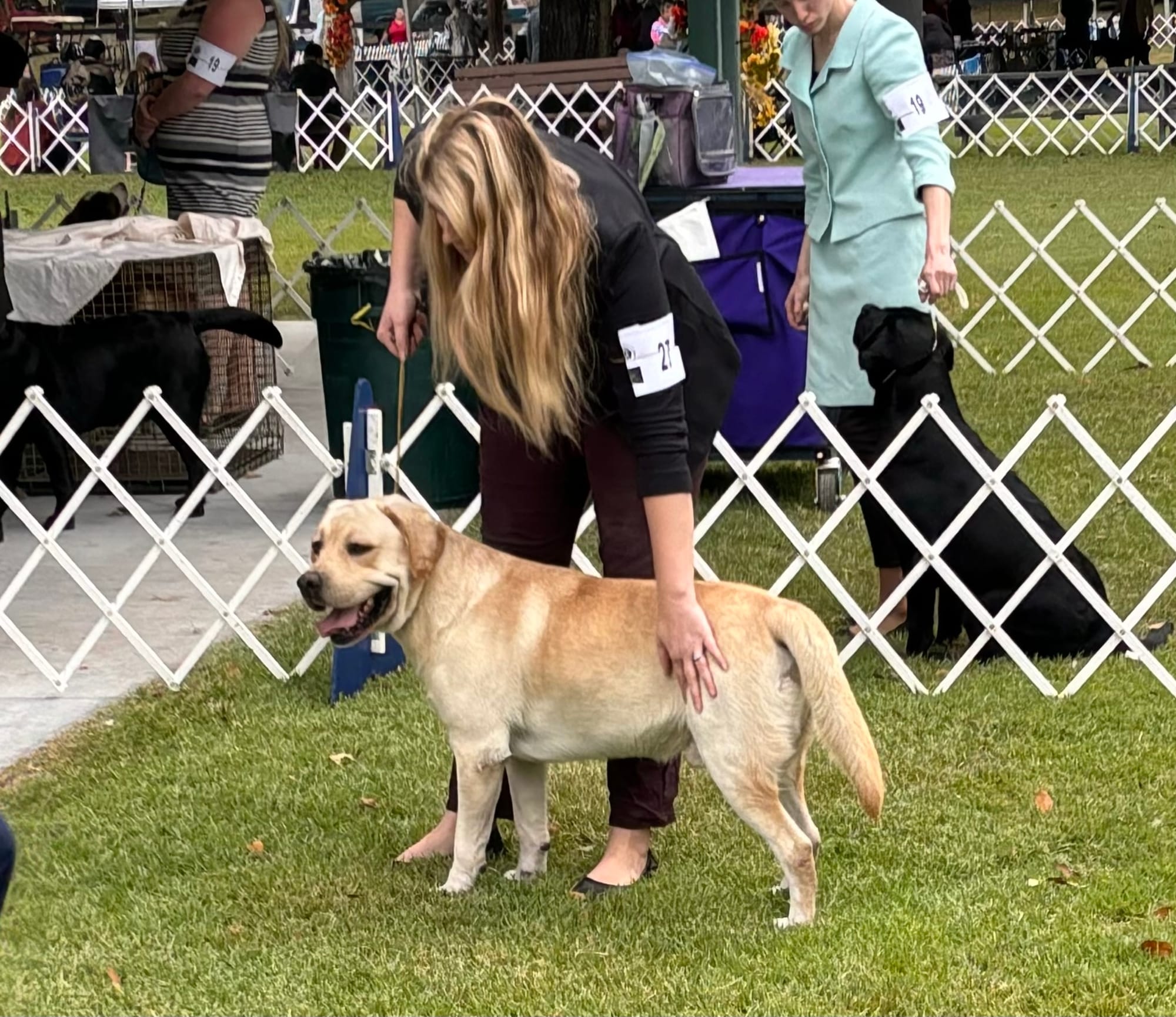 Penny Lane’s Frederick The Peaceful Ruler