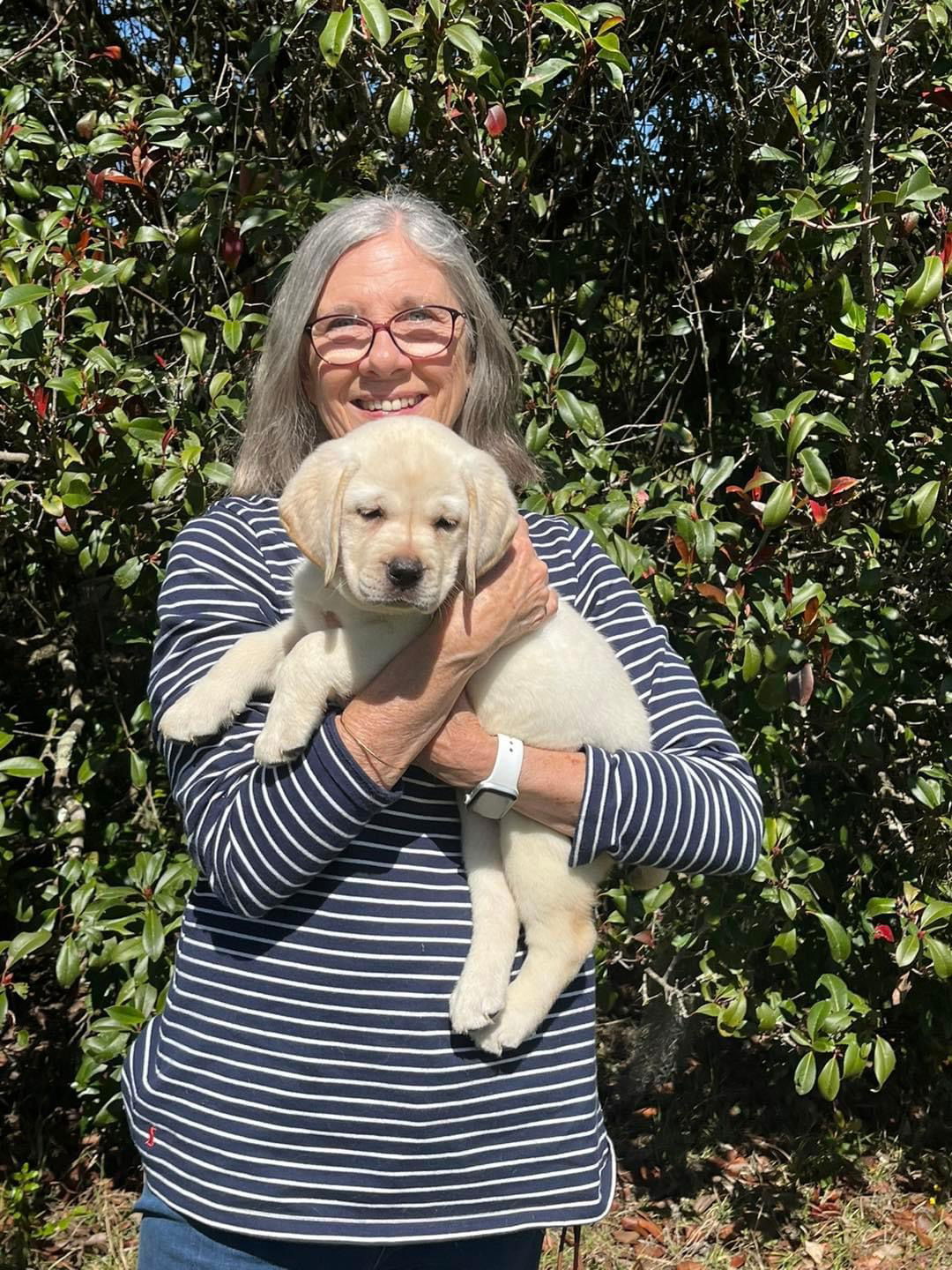 Some of Sheba’s sweet puppies 