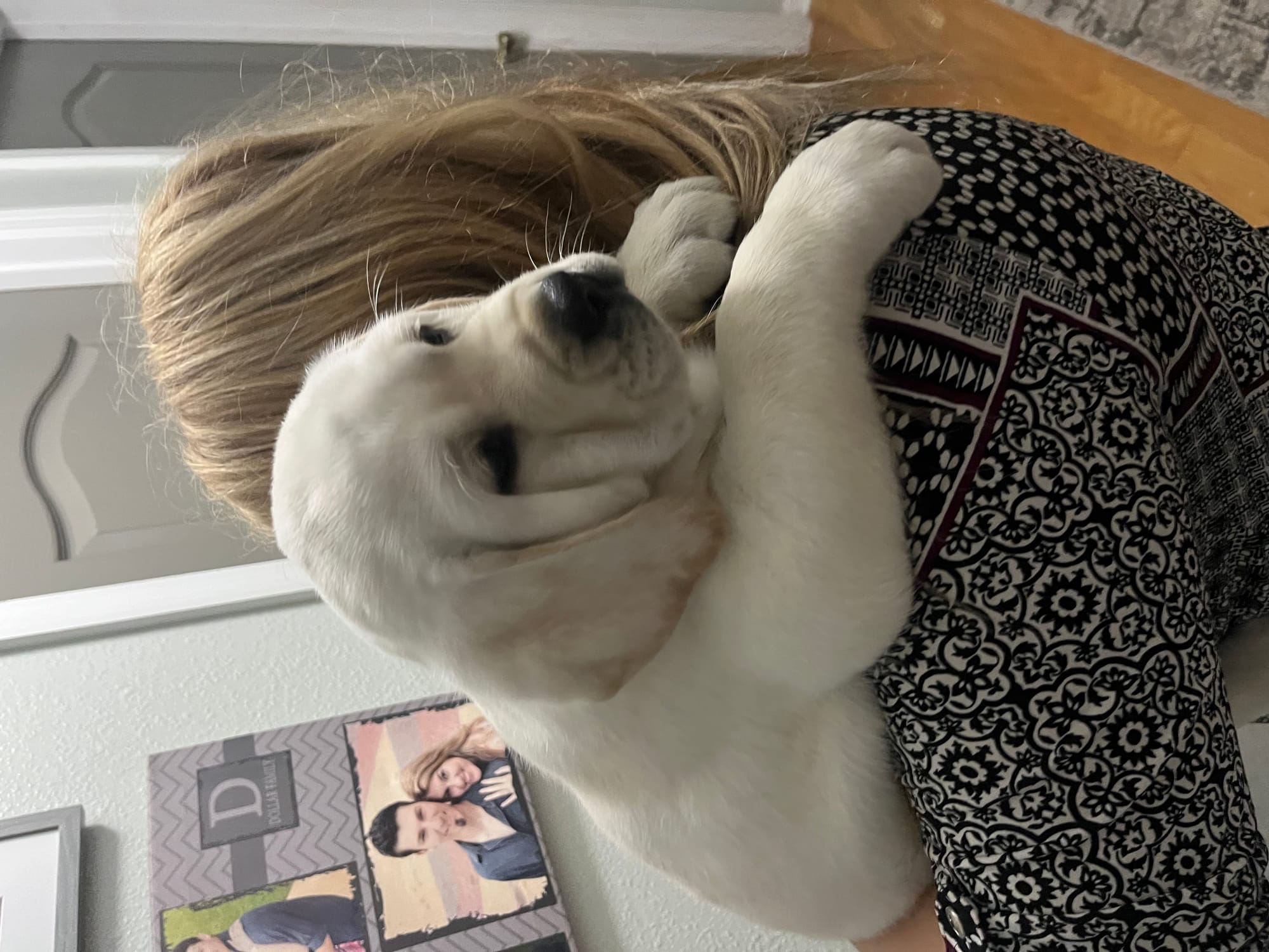 Penny Lane’s Baymax The Braveheart 