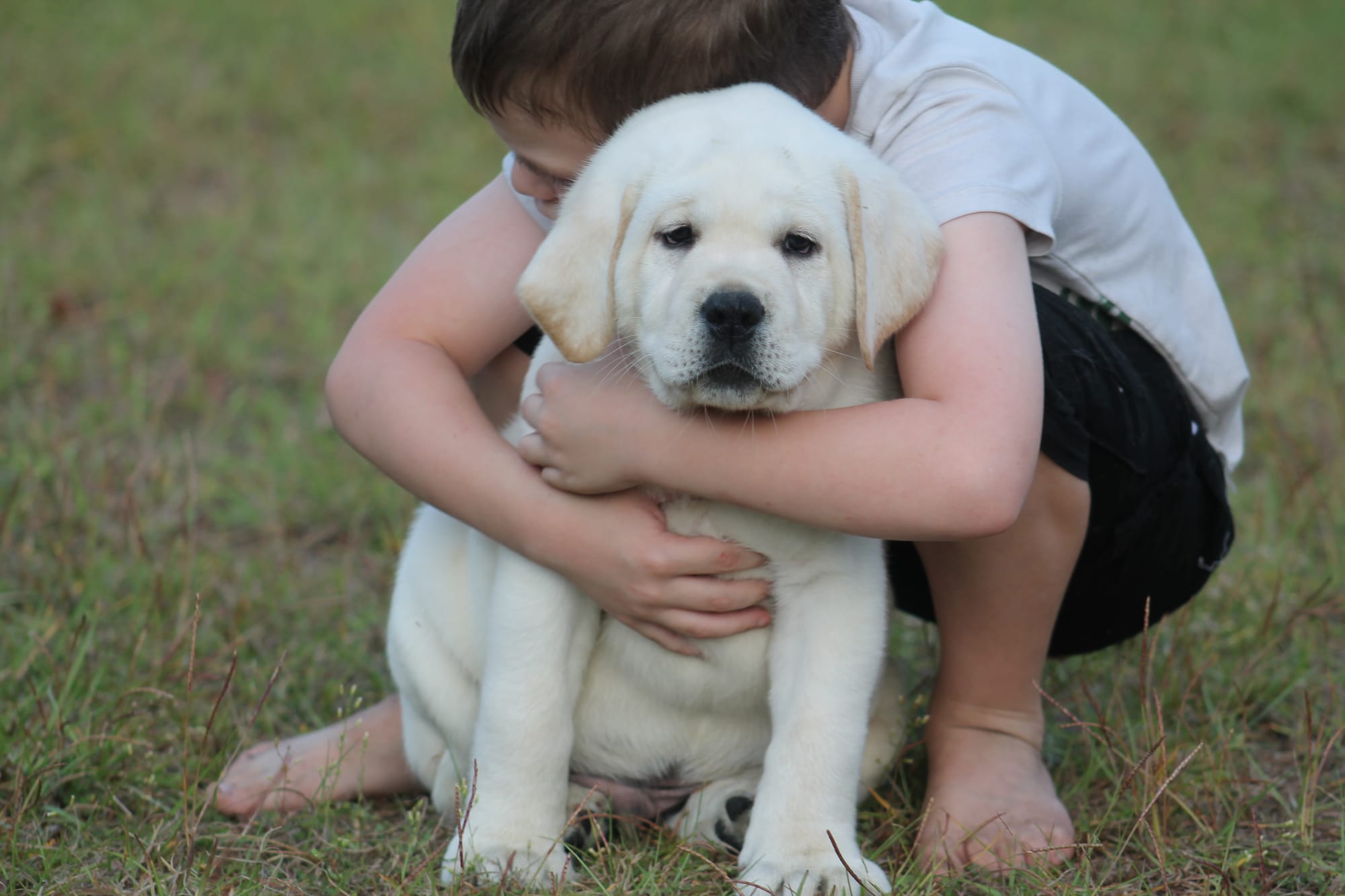Penny Lane’s Baymax The Braveheart 