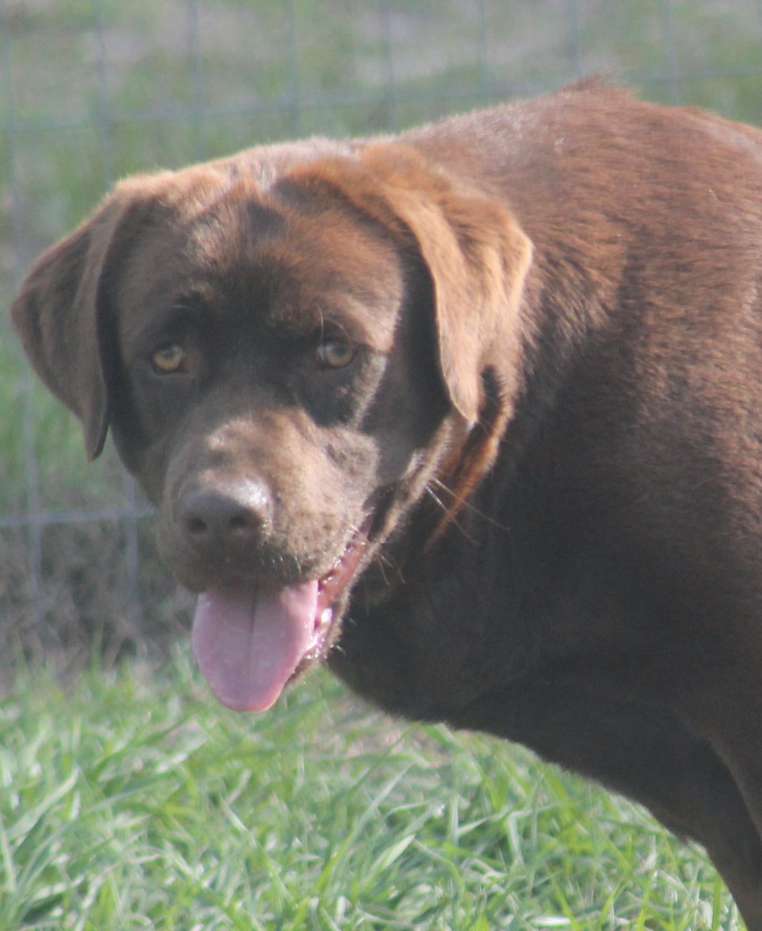 Penny Lane’s Mona Lisa Smile