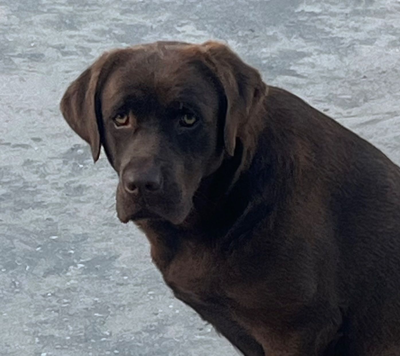 Penny Lane’s Mona Lisa Smile