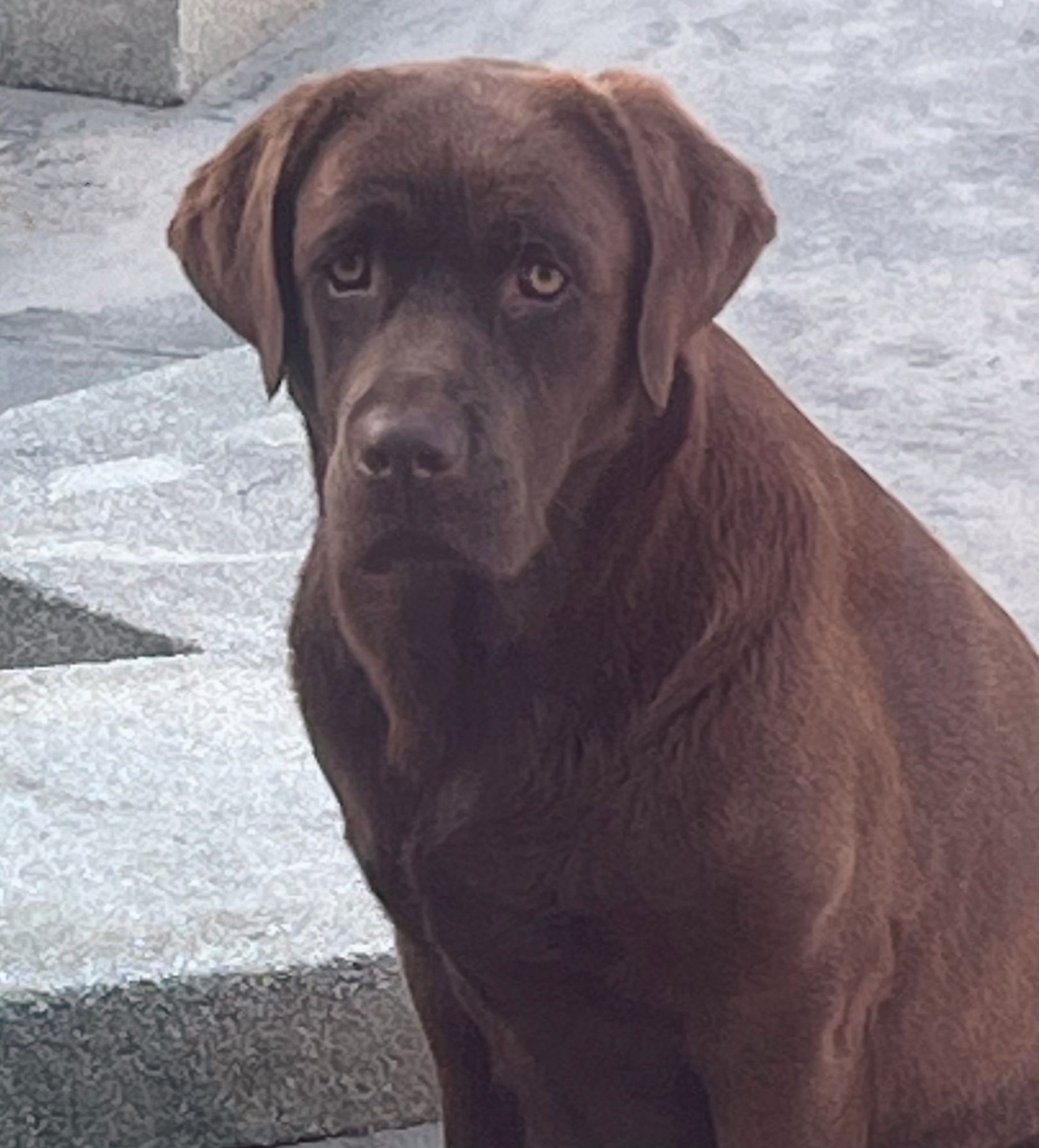 Penny Lane’s Mona Lisa Smile