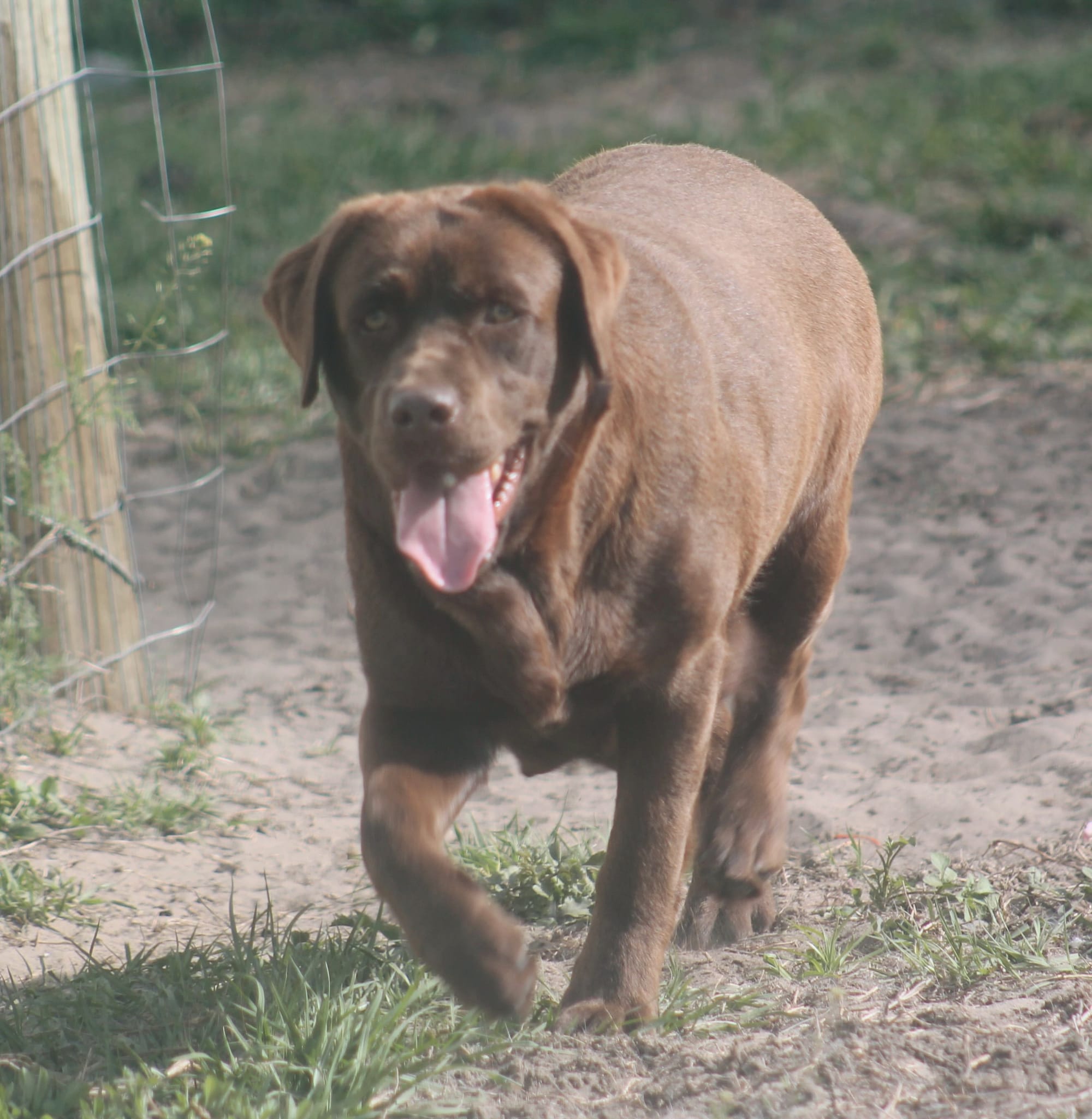 Penny Lane’s Mona Lisa Smile