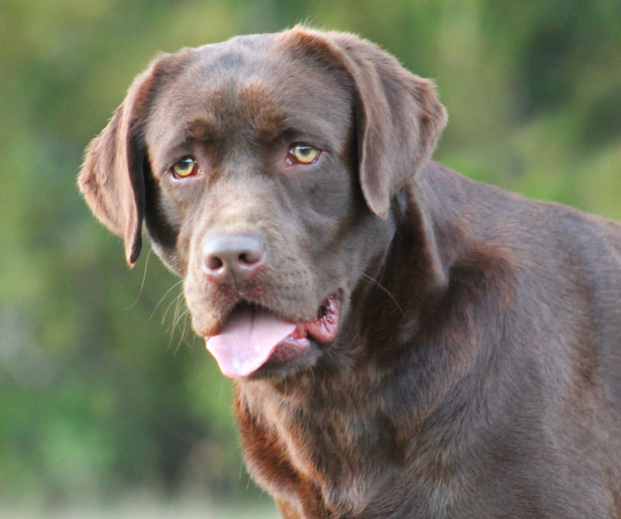 Penny Lane’s Mona Lisa Smile
