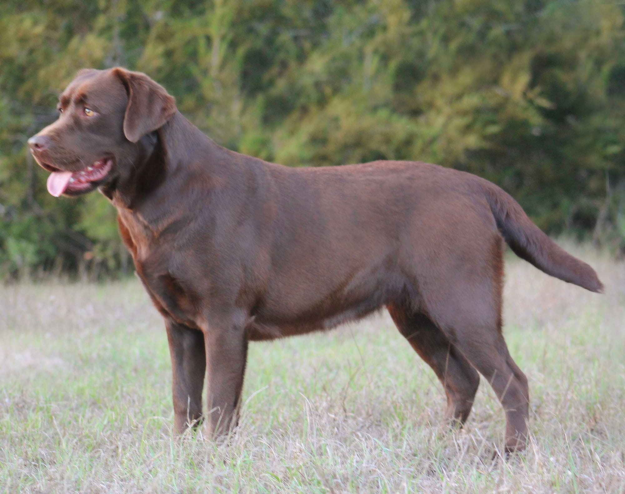 Penny Lane’s Mona Lisa Smile