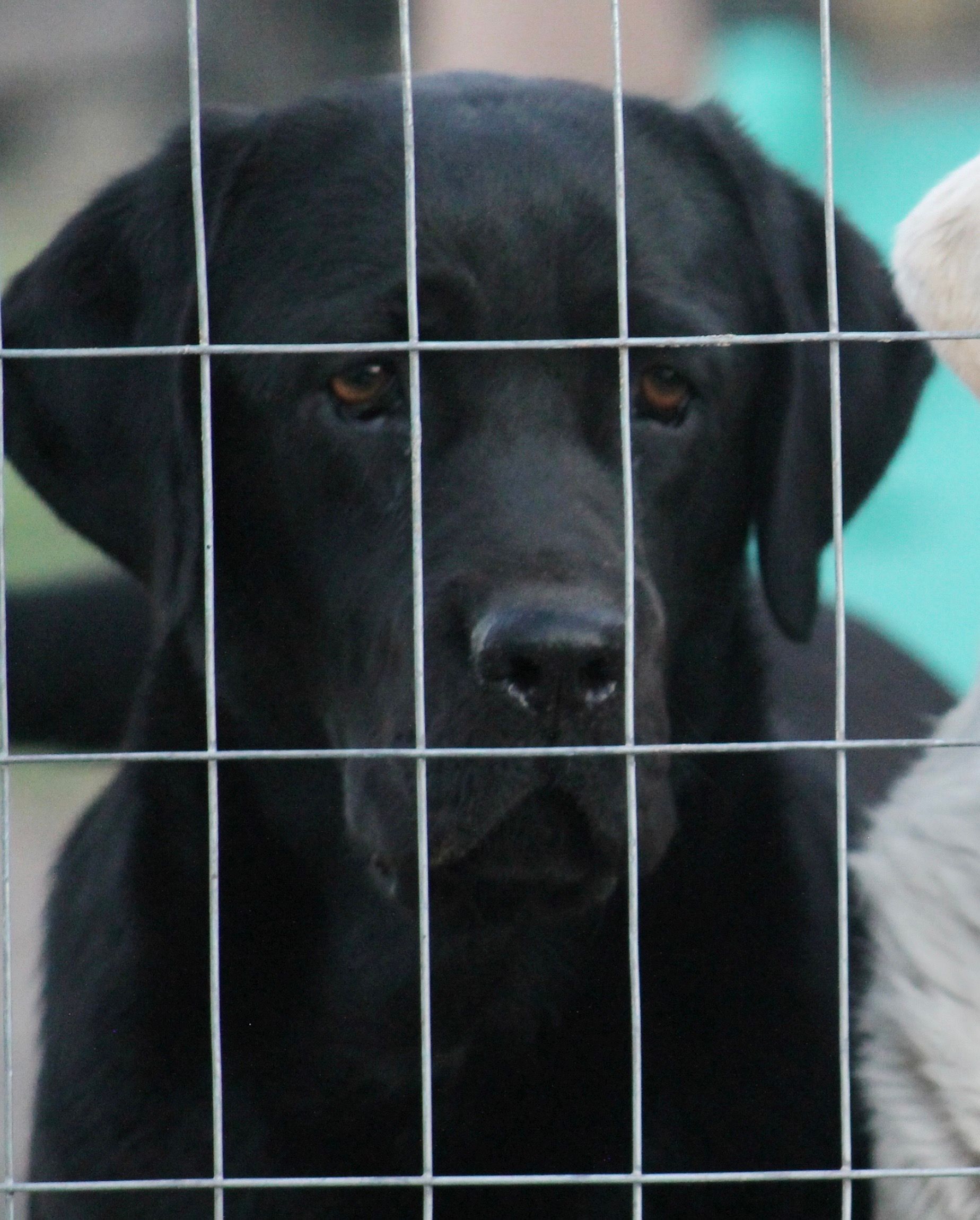 Penny Lane’s Lost In The Twyla Zone