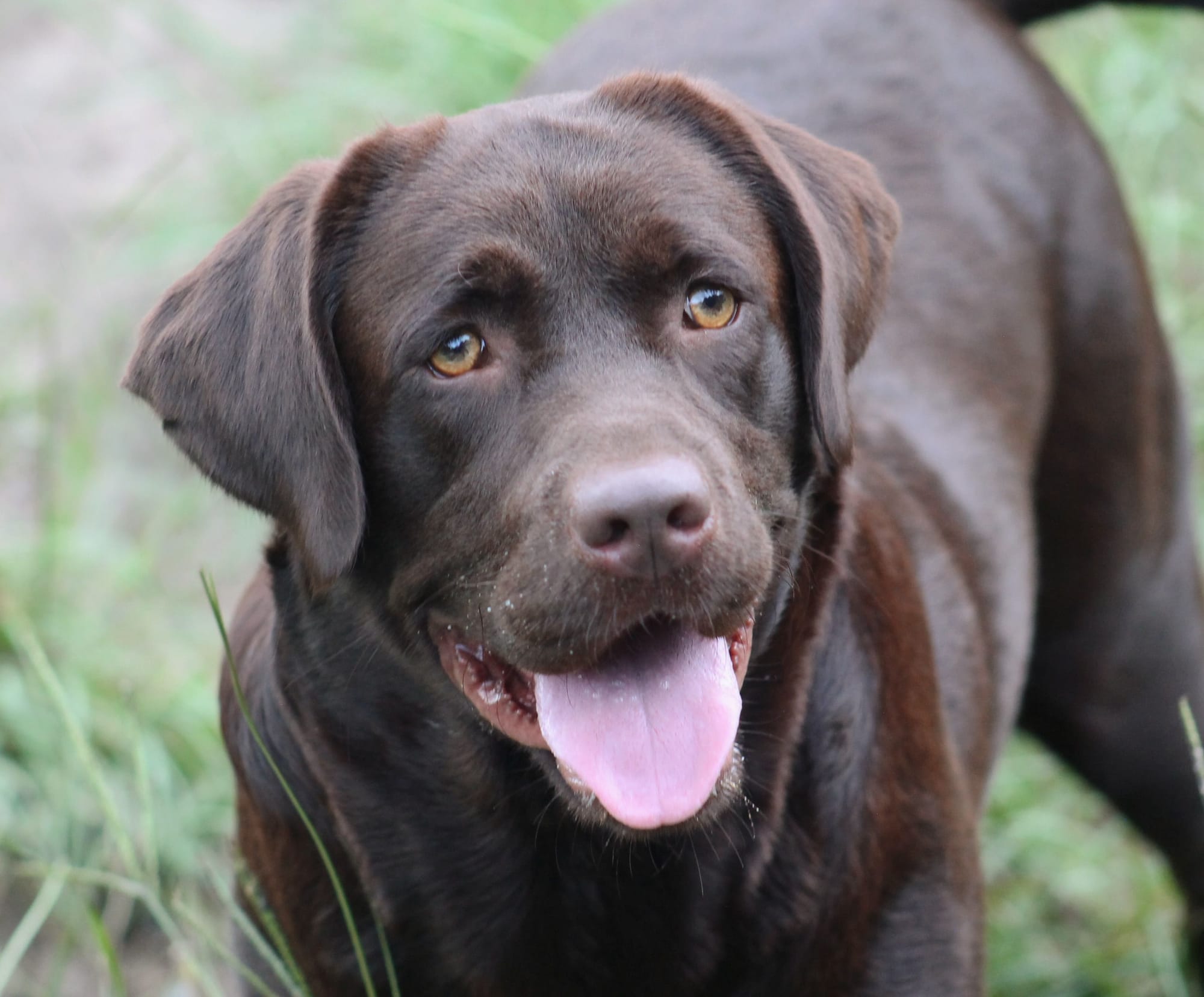 Penny Lane’s Mona Lisa Smile