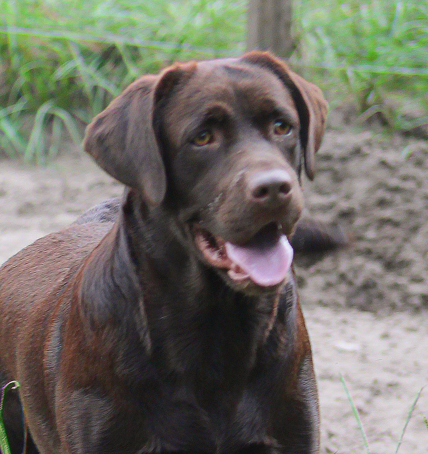 Penny Lane’s Mona Lisa Smile