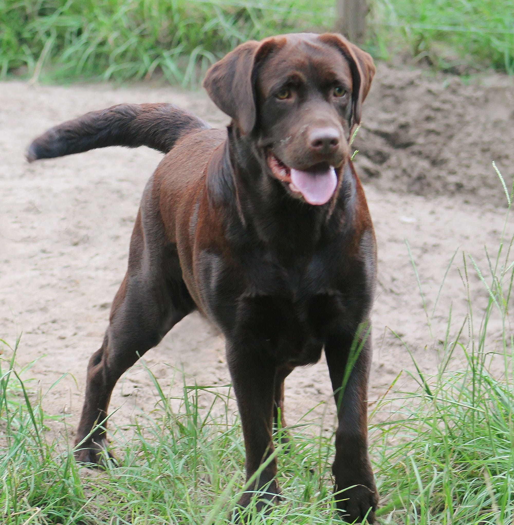 Penny Lane’s Mona Lisa Smile