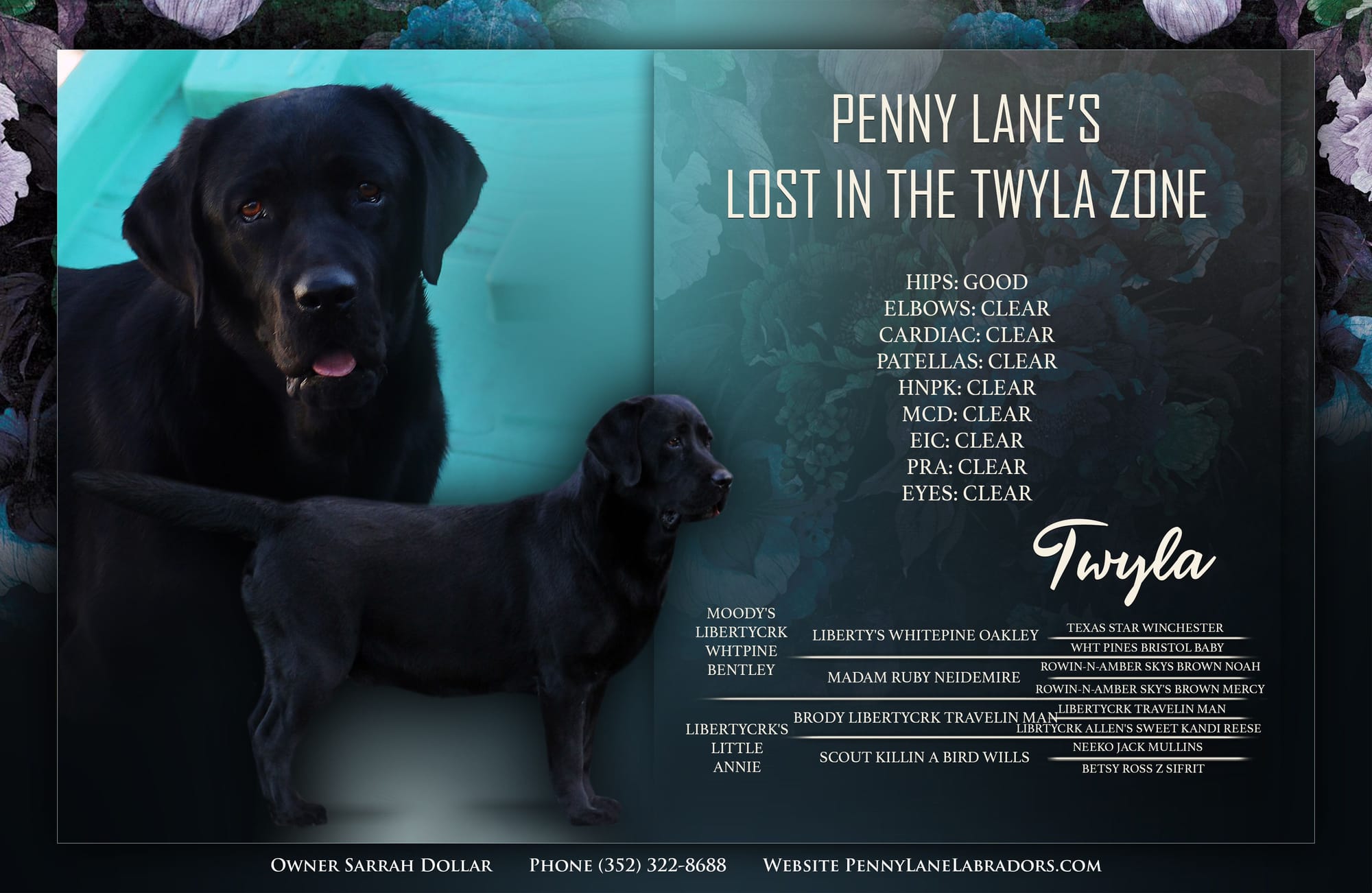 Penny Lane’s Lost In The Twyla Zone