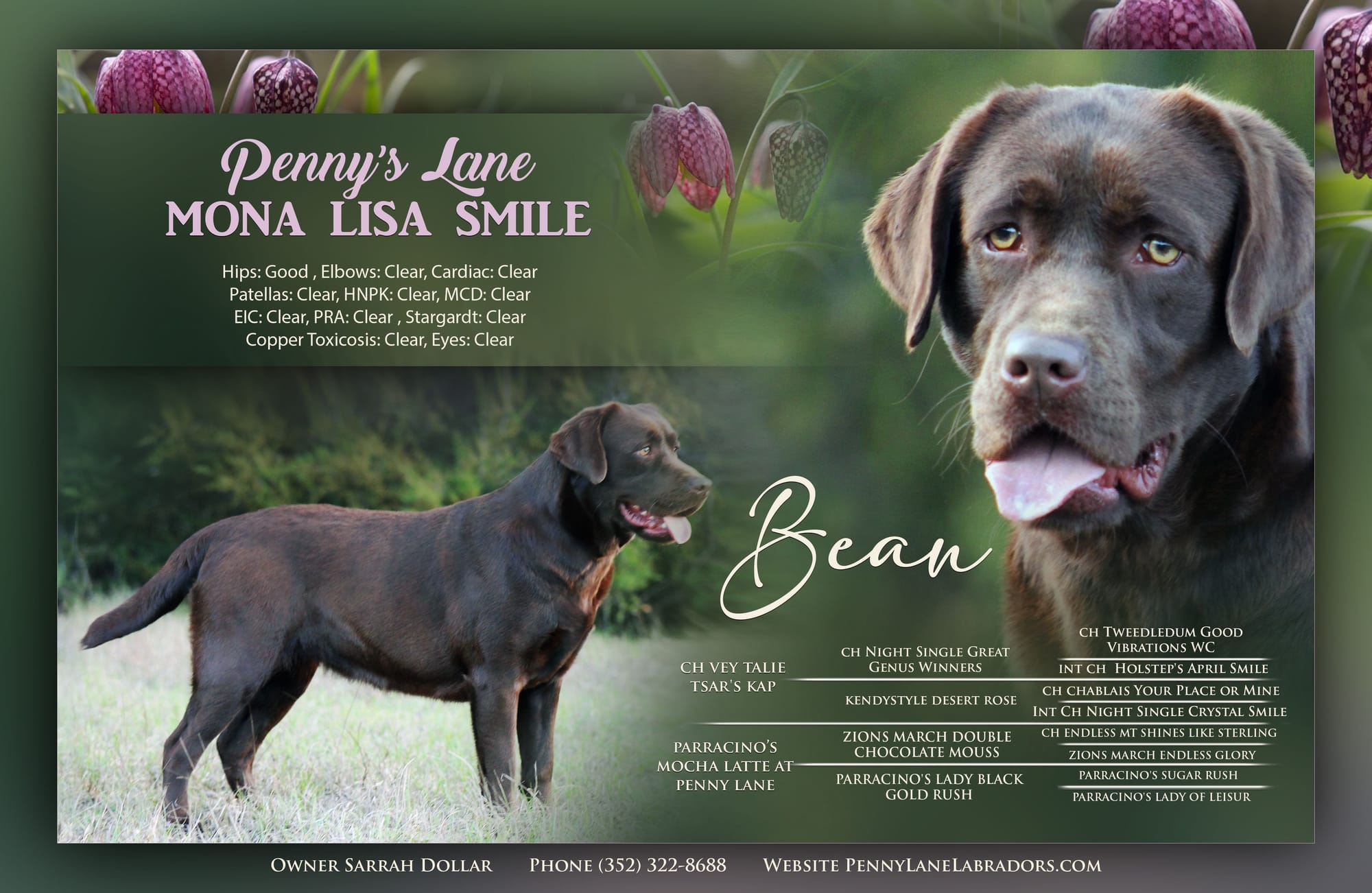 Penny Lane’s Mona Lisa Smile