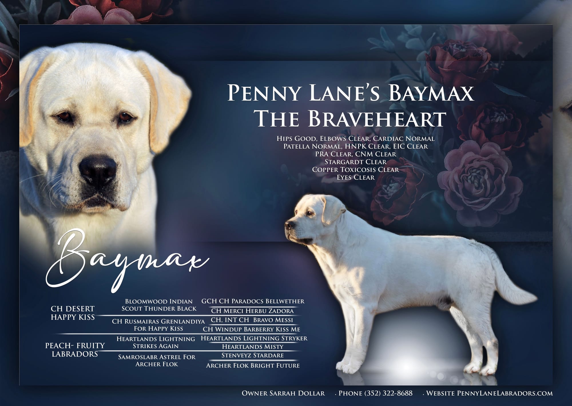 Penny Lane’s Baymax The Braveheart 