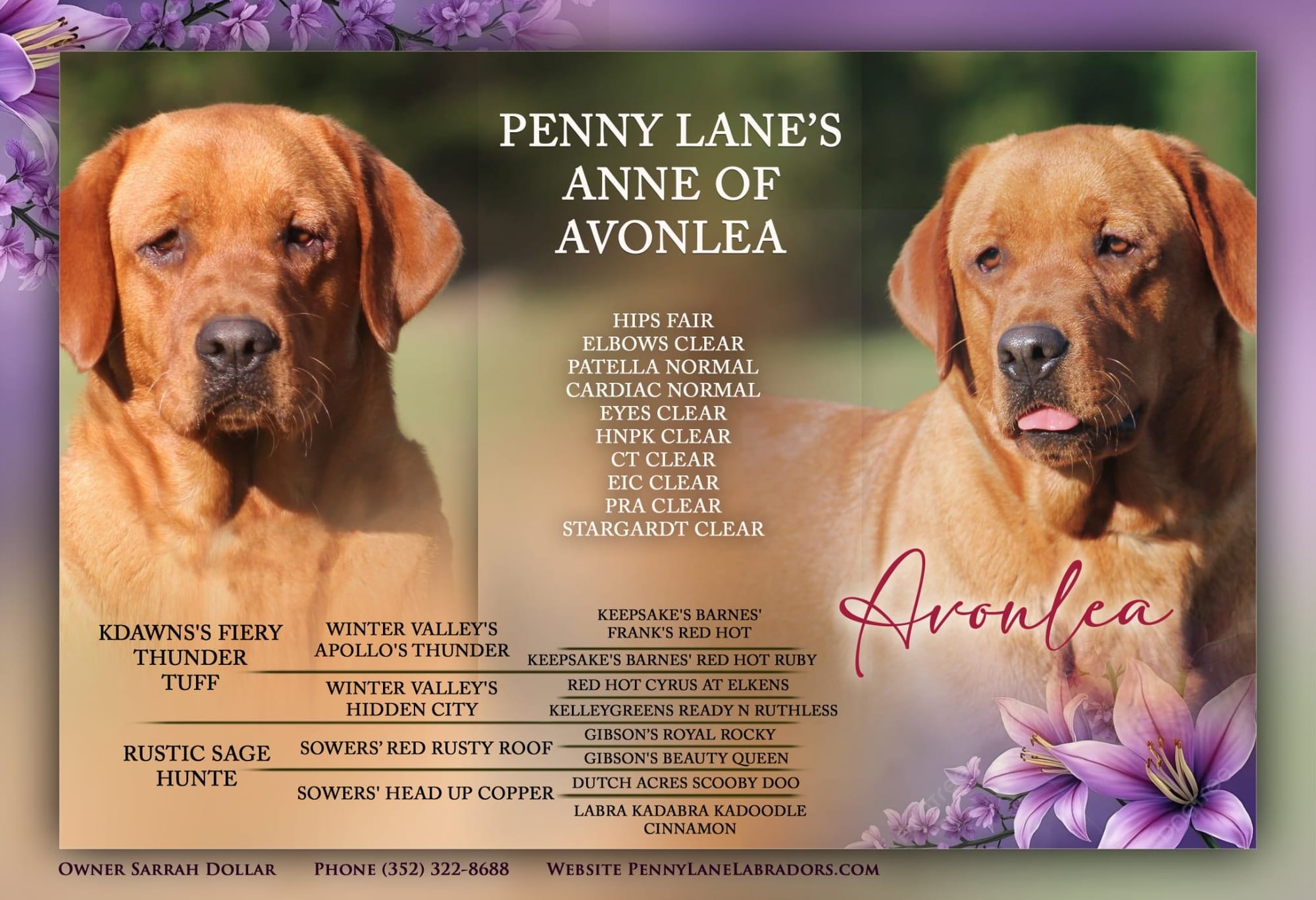 Penny Lane’s Anne Of Avonlea 