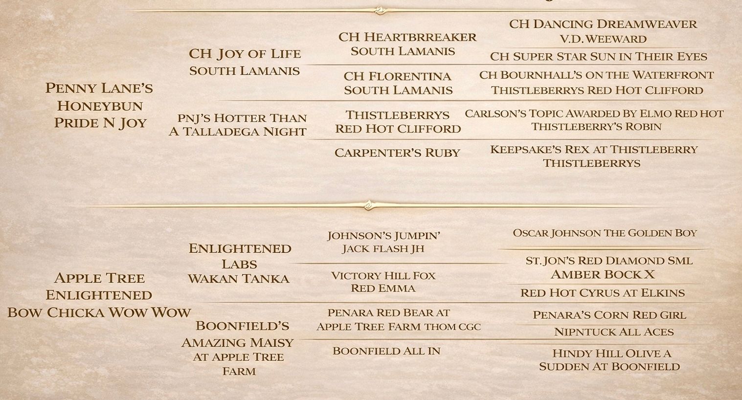 Penny Lane’s Suddenly Seymour