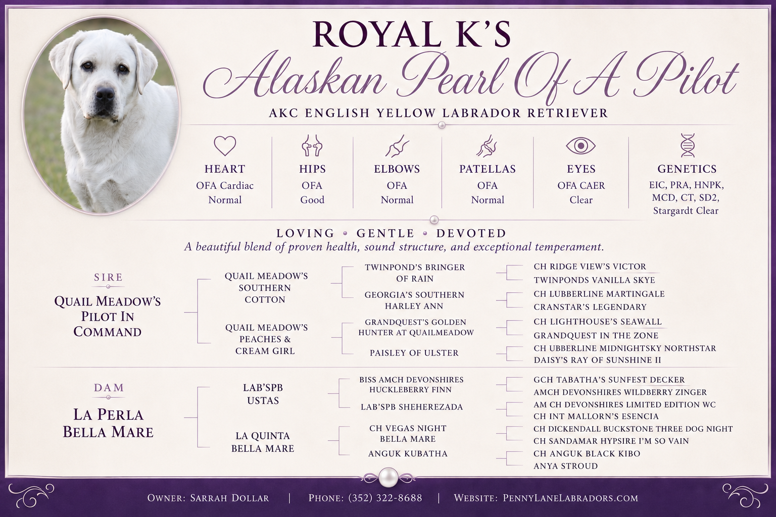 Royal K’s Alaskan Pearl Of A Pilot 