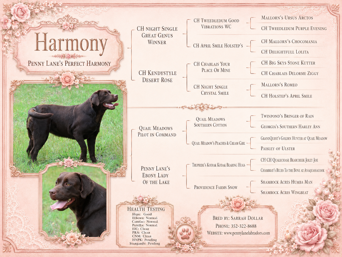 Penny Lane’s Perfect Harmony