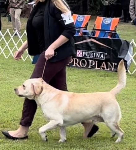 Penny Lane’s Frederick The Peaceful Ruler