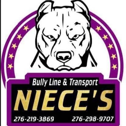 Niece's Bully Lines &amp; Transport