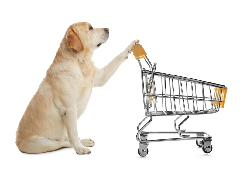 Amazon Shopping List
