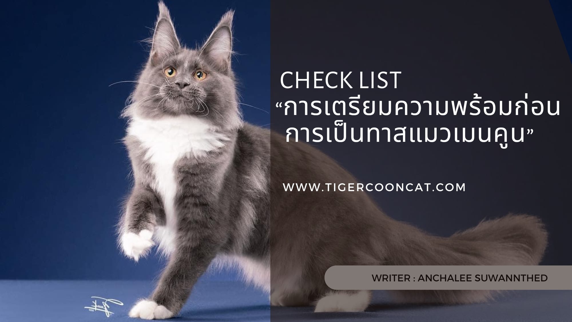 Check list “การเตรียมความพร้อมก่อนการเป็นทาสแมวเมนคูน”