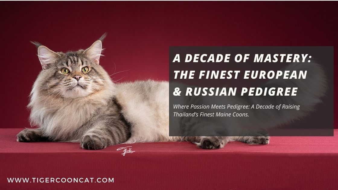 Entering Our Second Decade: 11 Years of Excellence and Heritage