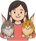 Tigercooncat Maine coon Cattery