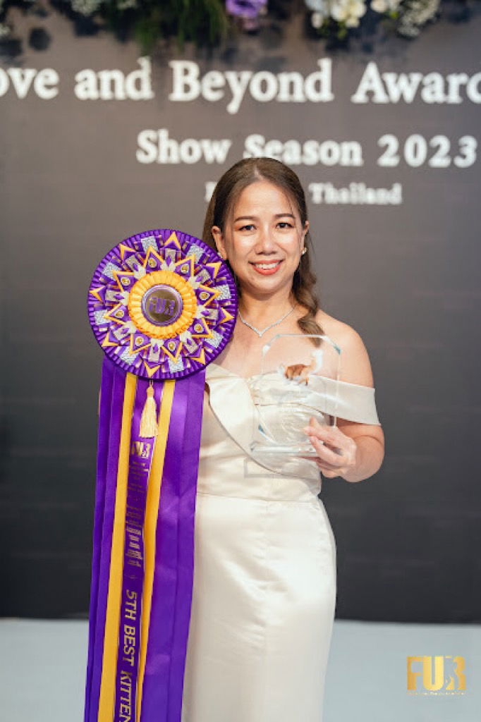 Tigercooncat Cattery winner of 5th Best Kitten at WCF Thailand Award Show Season 2023