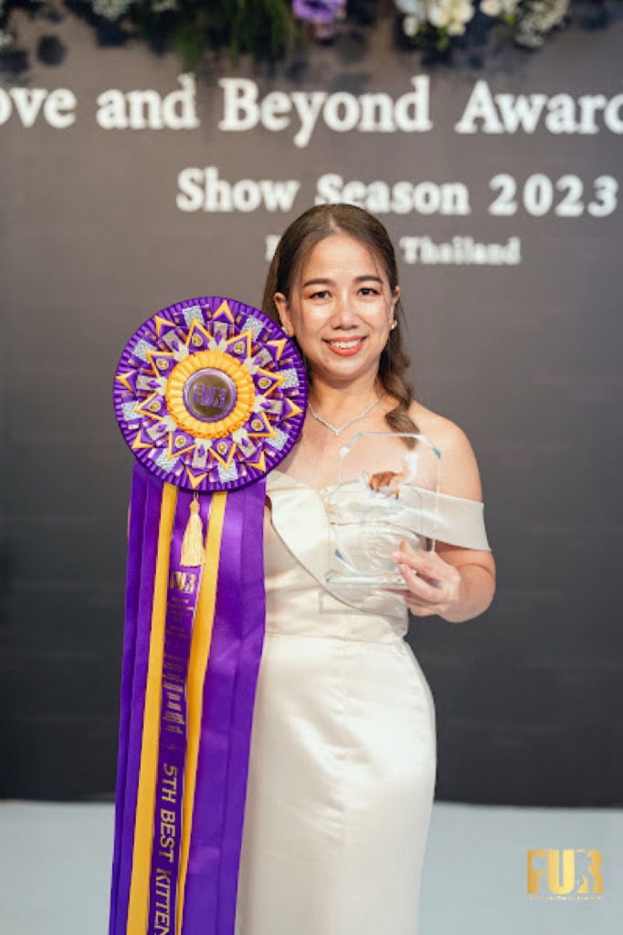 Tigercooncat Cattery winner of 5th Best Kitten at WCF Thailand Award Show Season 2023