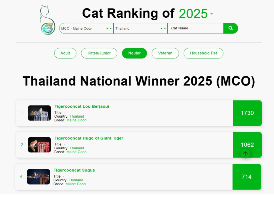 TigerCoonCat - National Winner 2025 Maine Coon Breeder in Thailand, specializing in healthy and giant pedigree kittens